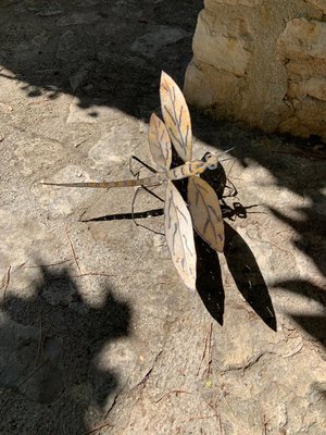 Caroline Hatt-Kindermans : Libellule