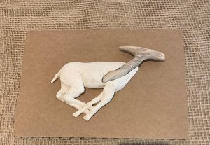 Caroline Hatt-Kindermans : Antilope