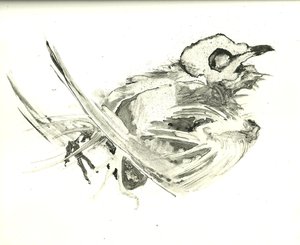 Hélène Damville - Bird