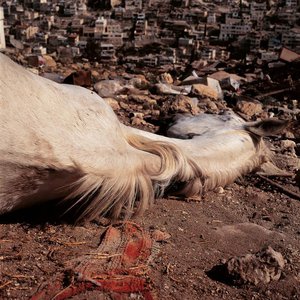 Didier Ben Loulou - Jérusalem 1991-2006