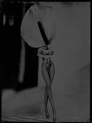 Jean-Philippe Pernot : 20160322 Femme Fleur 13x18