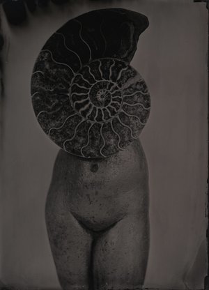 Jean-Philippe Pernot : 20160326 VENUS NAUTILE 13x18