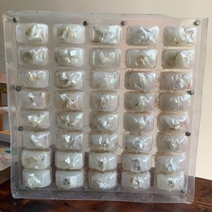 Raffaele Melis : La boite à bouchons (Technique mixte : Boite plastique et matériaux variés)