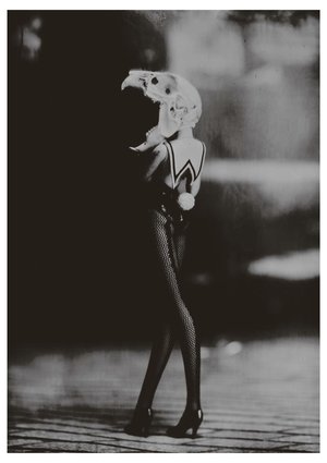 Jean-Philippe Pernot : In the Street Doll Rabbit  2016