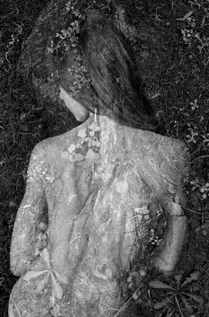 Isabelle Levistre : Arbor Essence I