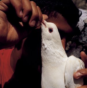 Didier Ben Loulou - Jérusalem 1991-2006