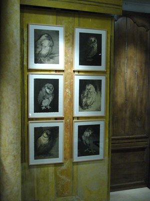 Hiboux Et Chouettes Expo Tailles Douces