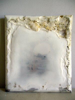 Raffaele Melis : Simplement poison (Technique mixte :Matières plastique, pigments naturels, colle néoprène)