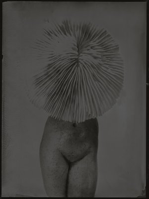 Jean-Philippe Pernot : 20160418 VENUS FEMME  18x24