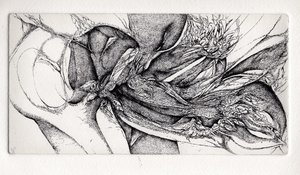 Thomas Bouquet - Piégé (10x20)(2014) Eau forte sur cuivre