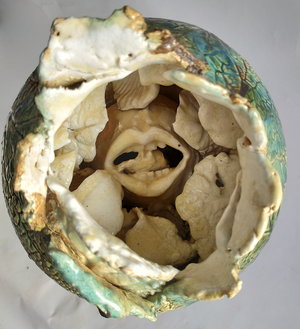 JJDamville - Graine indiscrête 2 - Détail