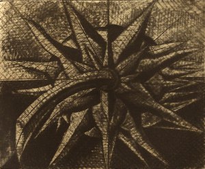 Brigitte Coudrain : Rose Des Vents  (1995)