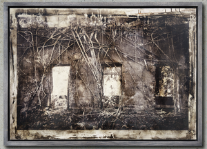 Wilhelm Moser - Paricatuba (Rio Negro) abandonnée dans la jungle, 2019 - Photographie traitée à l'encre et à l'ochsgall (74x105 cm)