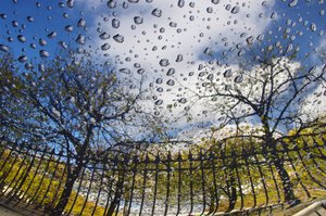Daniel Chenot - Expo Peindre en Photos