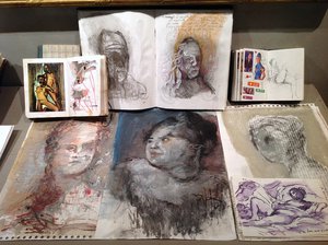 Les Carnets Et Feuilles Volantes De Didier Bled