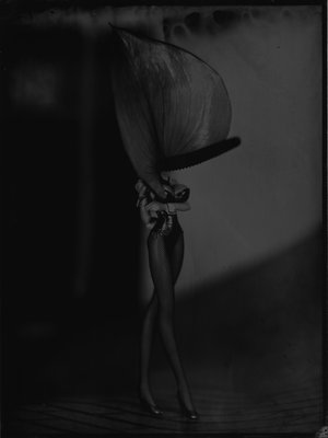 Jean-Philippe Pernot : 20160323 Femme Fleur II 13x18