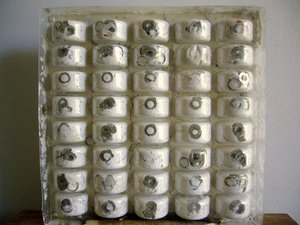 Raffaele Melis : Stérile (Technique mixte : Plâtre, colle, métal et bois en socle)