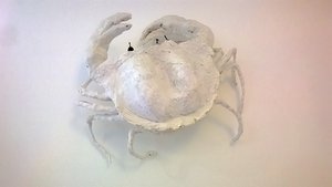 Caroline Hatt-Kindermans : Crabe