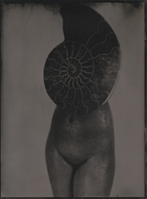 Jean-Philippe Pernot : 20160325 VENUS NAUTILE 13x18