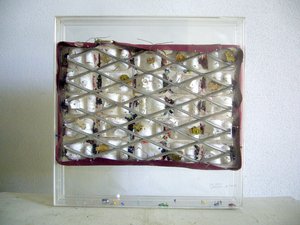 Raffaele Melis : La cage dans la boite (Technique mixte : Boite plastique et matériaux variés