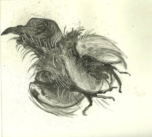 Hélène Damville - Bird4