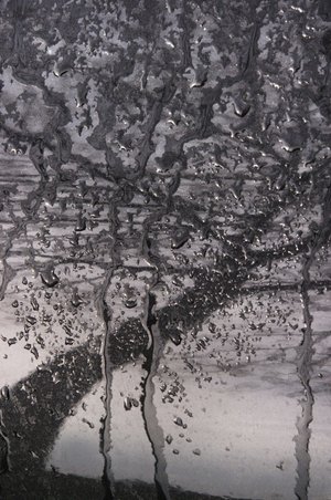 Daniel Chenot - Expo Peindre en Photos