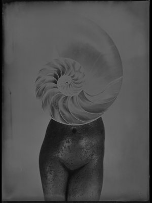 Jean-Philippe Pernot : 20160502 Etude pour une VENUS D'OR 18x24