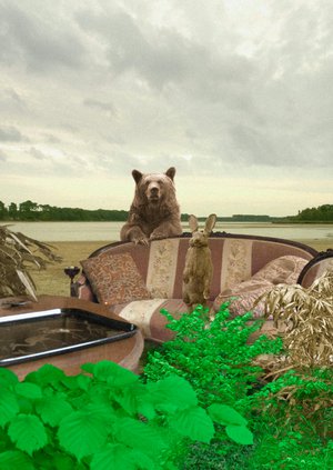 Interieurs Animaliers - Mr Lapin Et Mme Ours