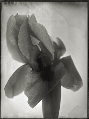 Jean-Philippe Pernot : 20160327 LYSD'O 18x24