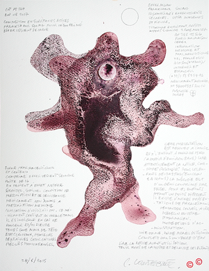 Claude Courtecuisse  - Effaralgan Paracetamol 500mg  3