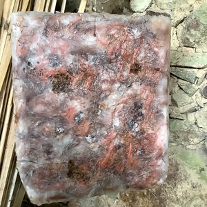 Raffaele Melis : Les bonbons en poison (Technique mixte : Fil de cuivre, cire, graines végétales et autres matières)