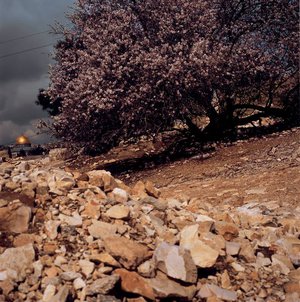 Didier Ben Loulou - Jérusalem 1991-2006