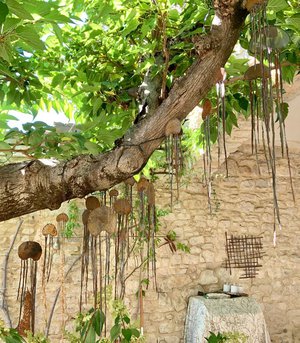 Caroline Hatt-Kindermans : Meduses In Situ