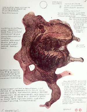 Calude Courtecuisse -  Effaralgan Paracetamol 500mg  4