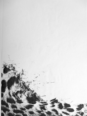 Claude Courtecuisse - Dessin4