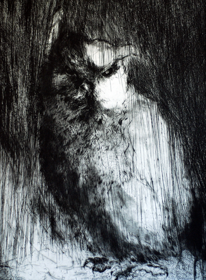 Hiboux Et Chouettes 9