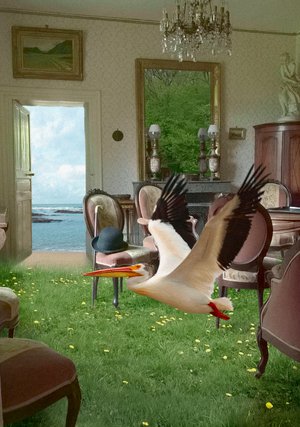 Interieurs Animaliers - Le Pelican De Magritte