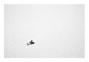 Romain Mallet - Tamarama