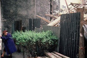 Daniel Chenot - Expo Paris Murmuré