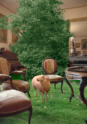 Interieurs Animaliers - Home Sweet Home