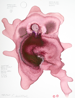 Claude Courtecuisse  - Effaralgan Paracetamol 500mg