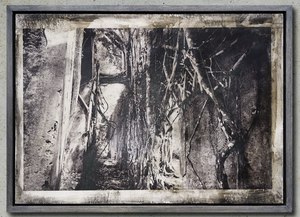 Wilhelm Moser - Paricatuba (Rio Negro) abandonnée dans la jungle, 2019 - Photographie traitée à l'encre et à l'ochsgall (74x105 cm)