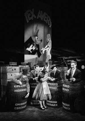 13 Cinema Surr - Non Sens