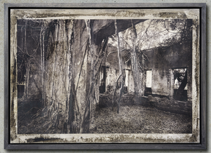 Wilhelm Moser - Paricatuba (Rio Negro) abandonnée dans la jungle, 2019 - Photographie traitée à l'encre et à l'ochsgall (74x105 cm)