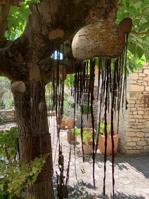 Caroline Hatt-Kindermans : Meduse In Situ