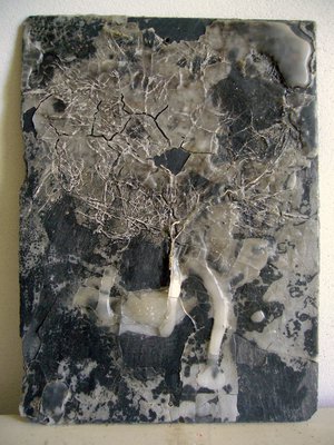 Raffaele Melis : Nuvoloso (Technique mixte : Ardoise, cire, végétaux)