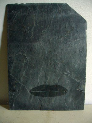 Raffaele Melis : Orthogonale ou presque (Technique mixte : Ardoise) Verso