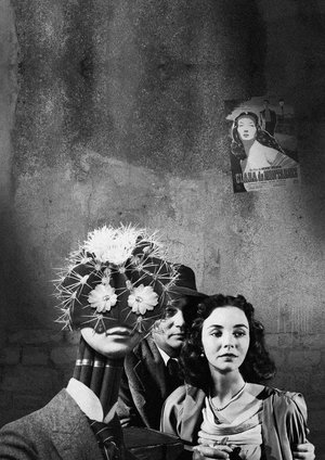 08 Cinema Surr - Onirisme