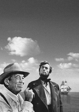 17 Cinema Surr - Huston