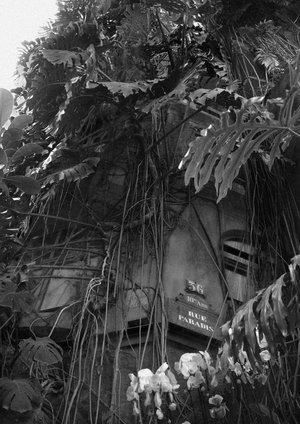 29 Cinema Surr - Decalage 07